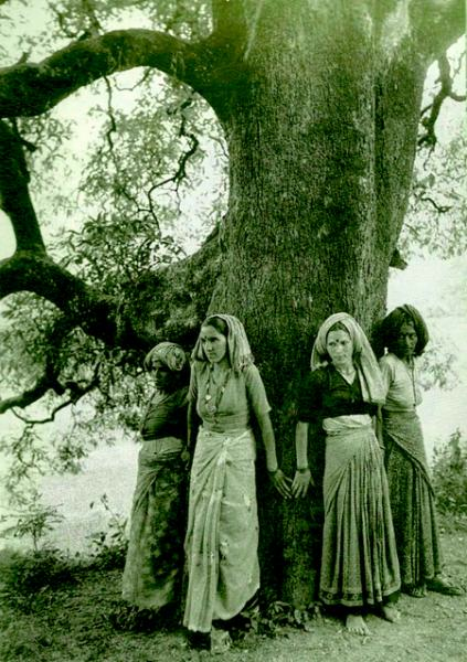 chipko movement